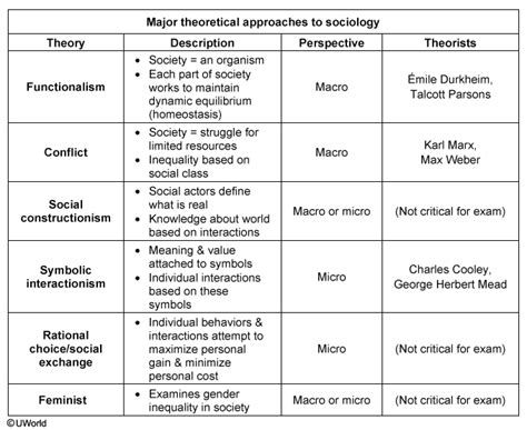 MCAT® Psychology & Sociology: Topics, Questions, and Study Tips.